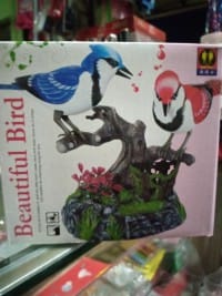 বিউটিফুল বার্ড