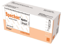 Specbac 250 IV Injection
