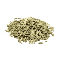 গুয়ামুরি (মৌরি)